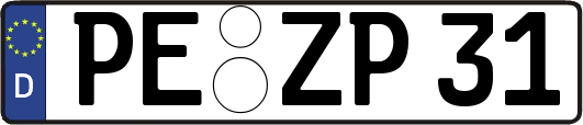 PE-ZP31
