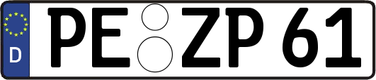 PE-ZP61