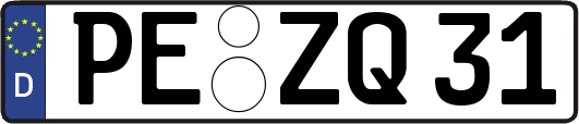PE-ZQ31
