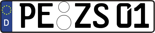 PE-ZS01