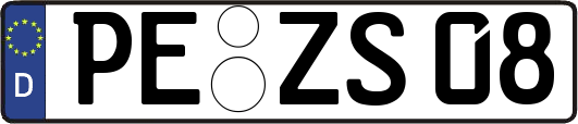PE-ZS08