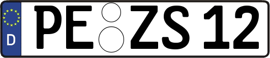 PE-ZS12