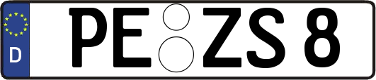 PE-ZS8