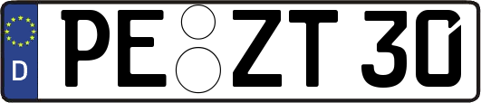 PE-ZT30
