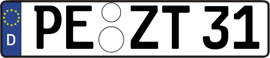 PE-ZT31