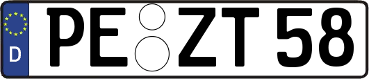 PE-ZT58