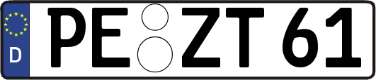 PE-ZT61