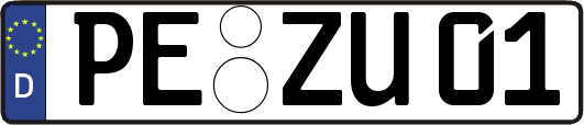 PE-ZU01
