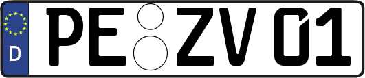 PE-ZV01
