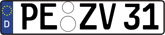 PE-ZV31
