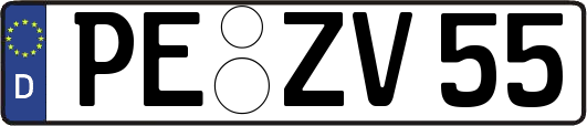 PE-ZV55