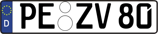 PE-ZV80