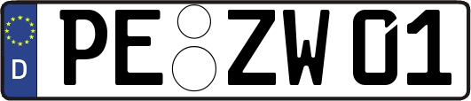 PE-ZW01