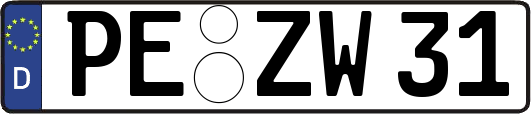 PE-ZW31