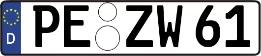 PE-ZW61