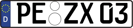 PE-ZX03