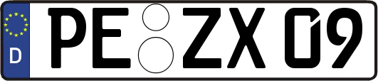 PE-ZX09