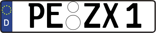 PE-ZX1