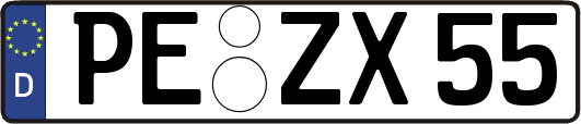 PE-ZX55