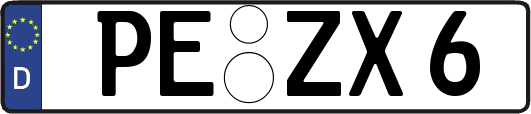 PE-ZX6