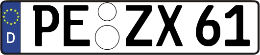 PE-ZX61