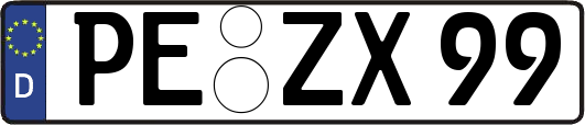 PE-ZX99