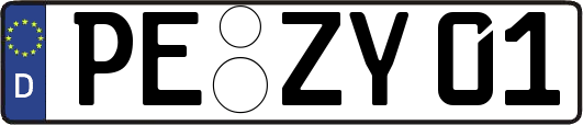 PE-ZY01