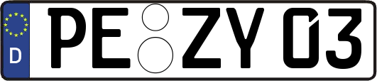 PE-ZY03