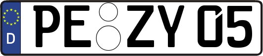 PE-ZY05