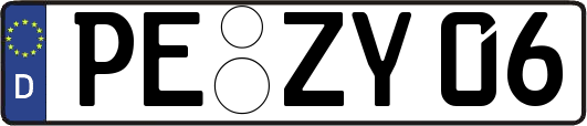 PE-ZY06