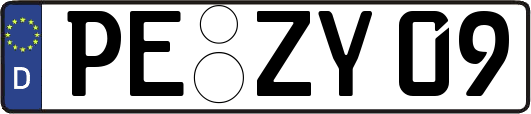 PE-ZY09