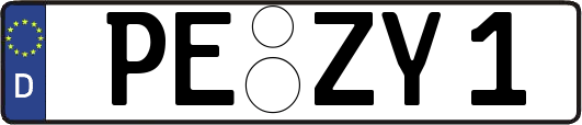 PE-ZY1