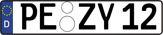 PE-ZY12
