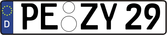 PE-ZY29
