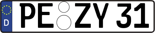 PE-ZY31