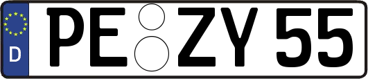 PE-ZY55