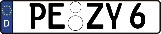 PE-ZY6