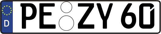 PE-ZY60