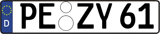PE-ZY61