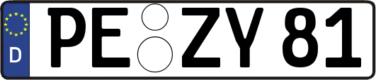 PE-ZY81