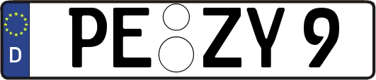 PE-ZY9