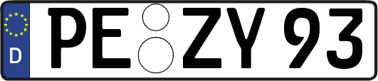 PE-ZY93