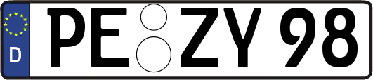 PE-ZY98