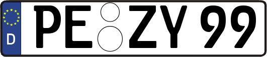 PE-ZY99