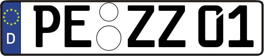 PE-ZZ01