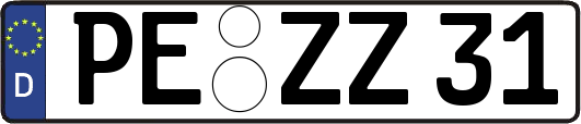 PE-ZZ31