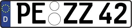 PE-ZZ42