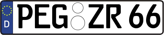 PEG-ZR66