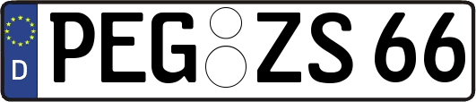 PEG-ZS66