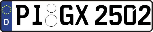 PI-GX2502